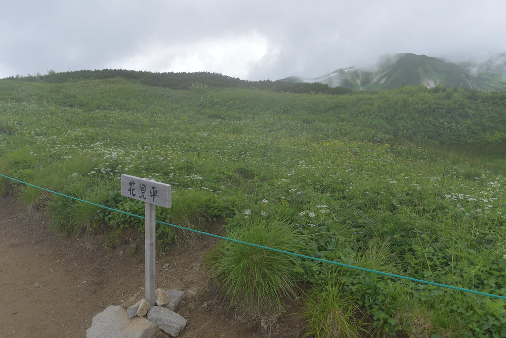 弓折岳から双六岳へ