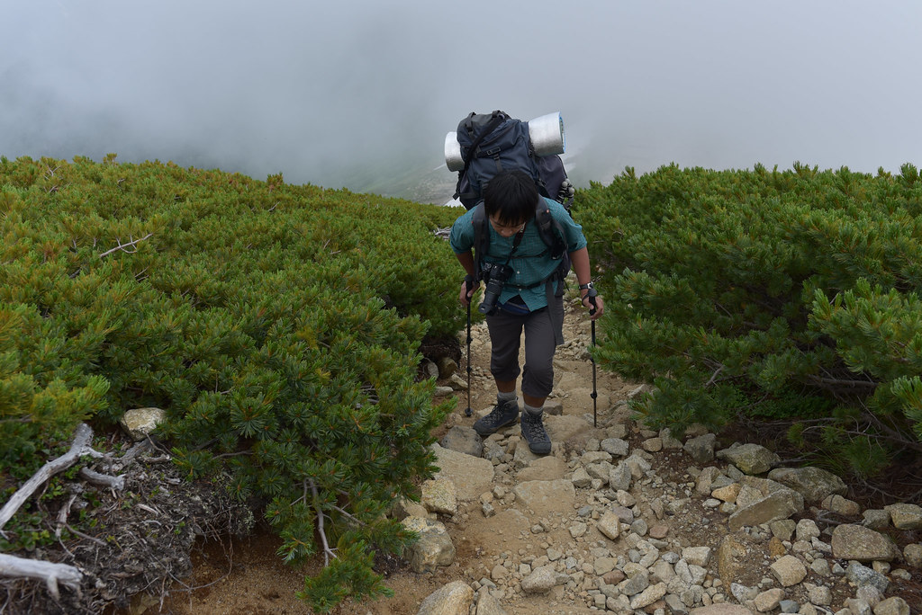 双六小屋から鷲羽岳へ