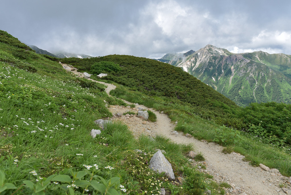 双六小屋から鷲羽岳へ
