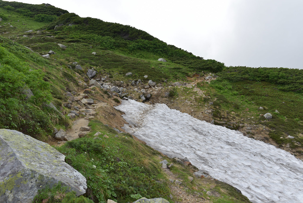 双六小屋から鷲羽岳へ