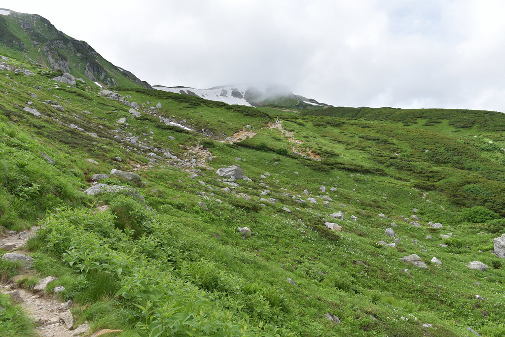 双六小屋から鷲羽岳へ