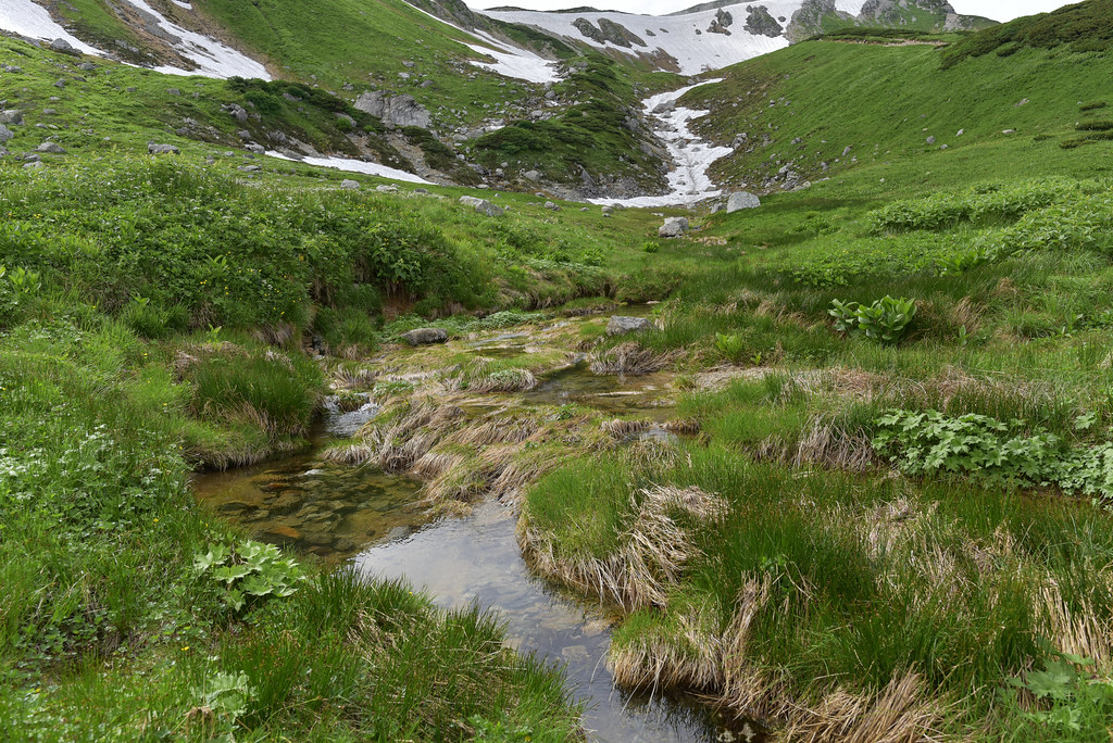 双六小屋から鷲羽岳へ