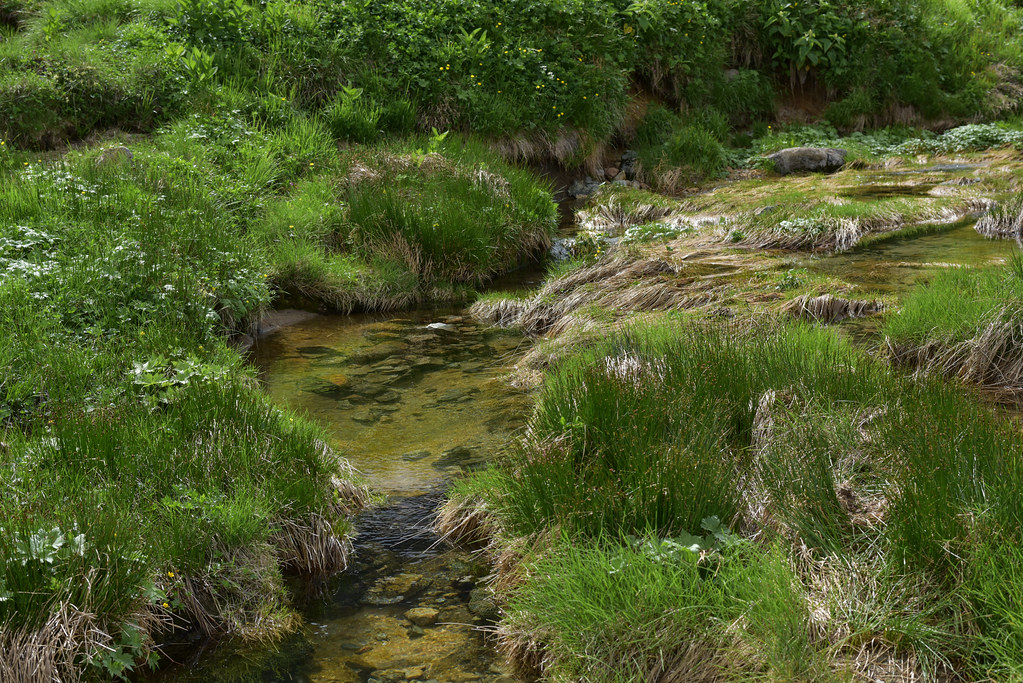 双六小屋から鷲羽岳へ