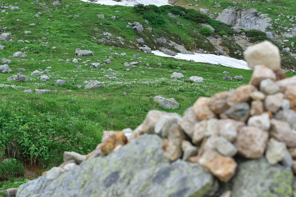 双六小屋から鷲羽岳へ