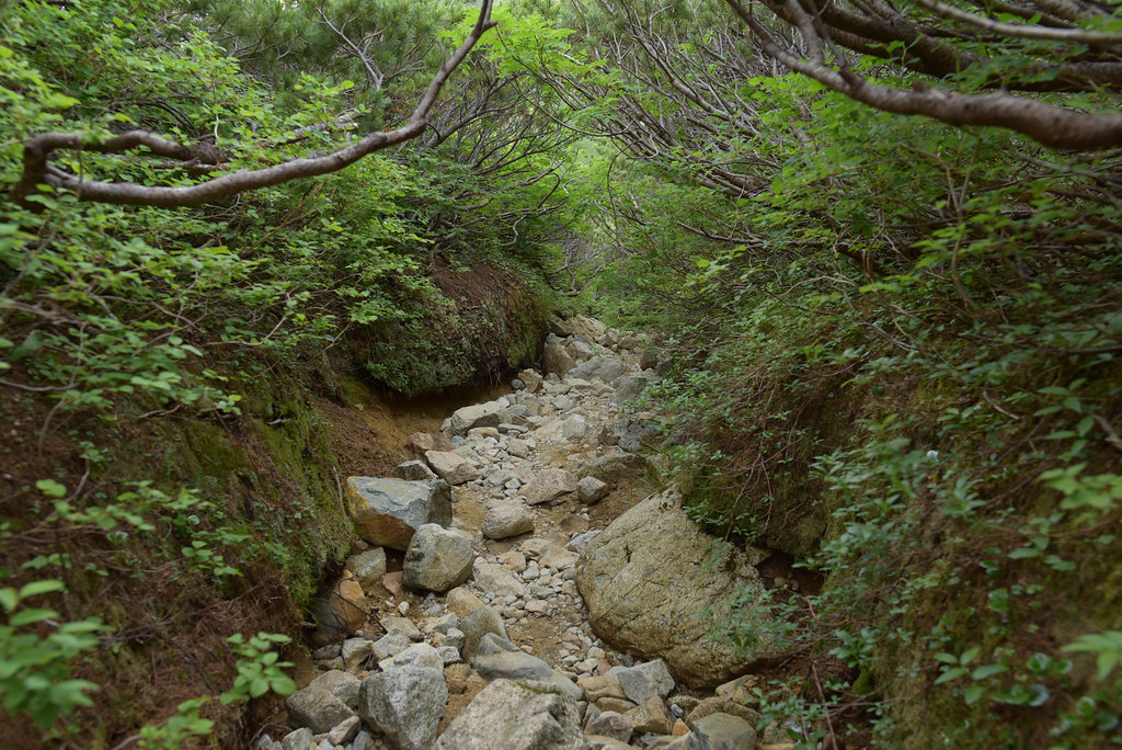 双六小屋から鷲羽岳へ