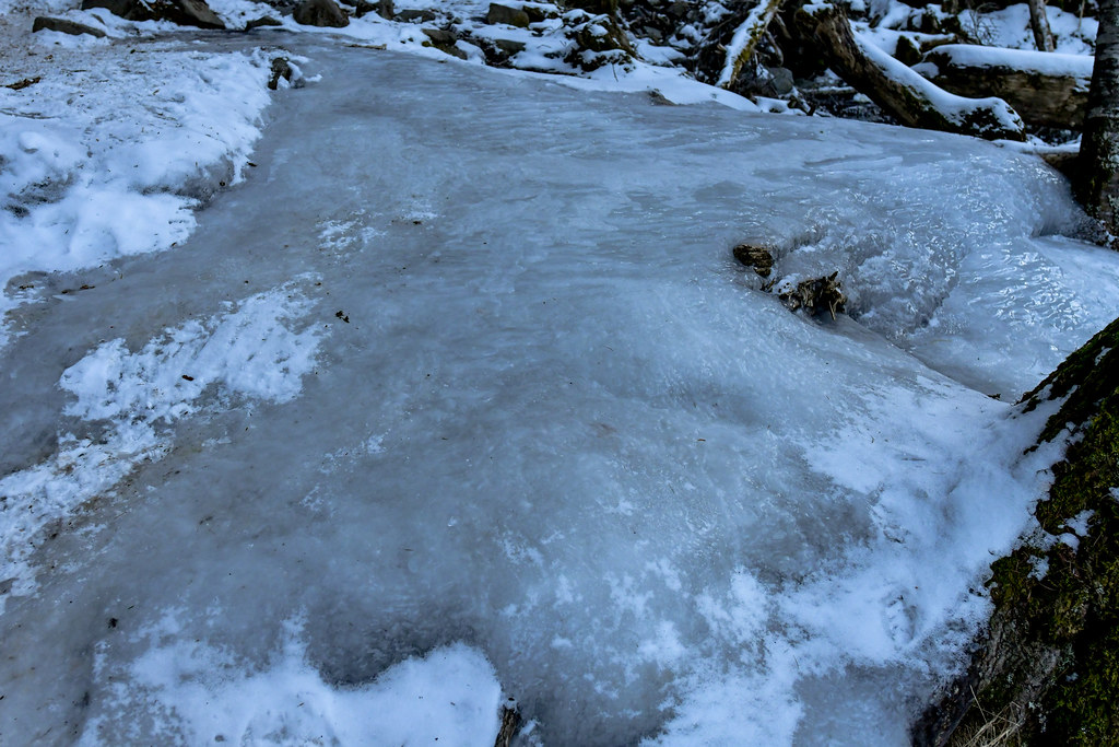 八ヶ岳南沢コース樹林帯の凍結