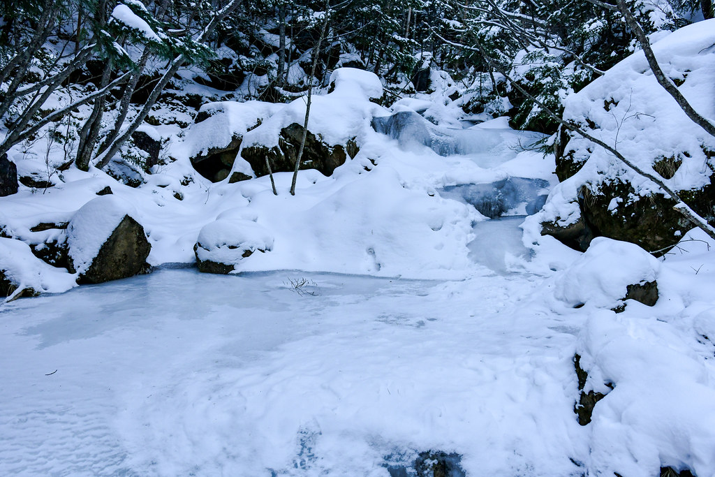 八ヶ岳南沢コース樹林帯の凍結した川
