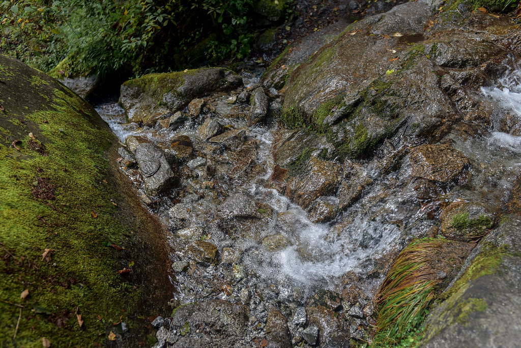 ドンドコ沢登山道の水浸しの登山道