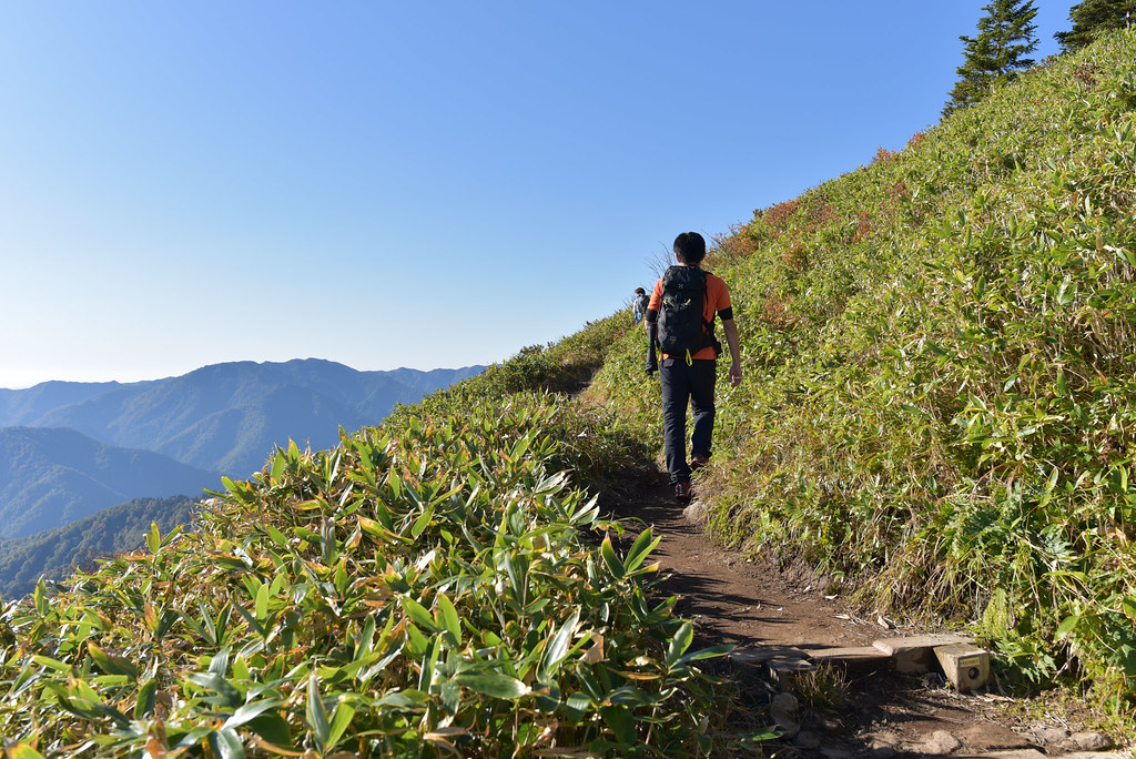 神楽峰への登山道
