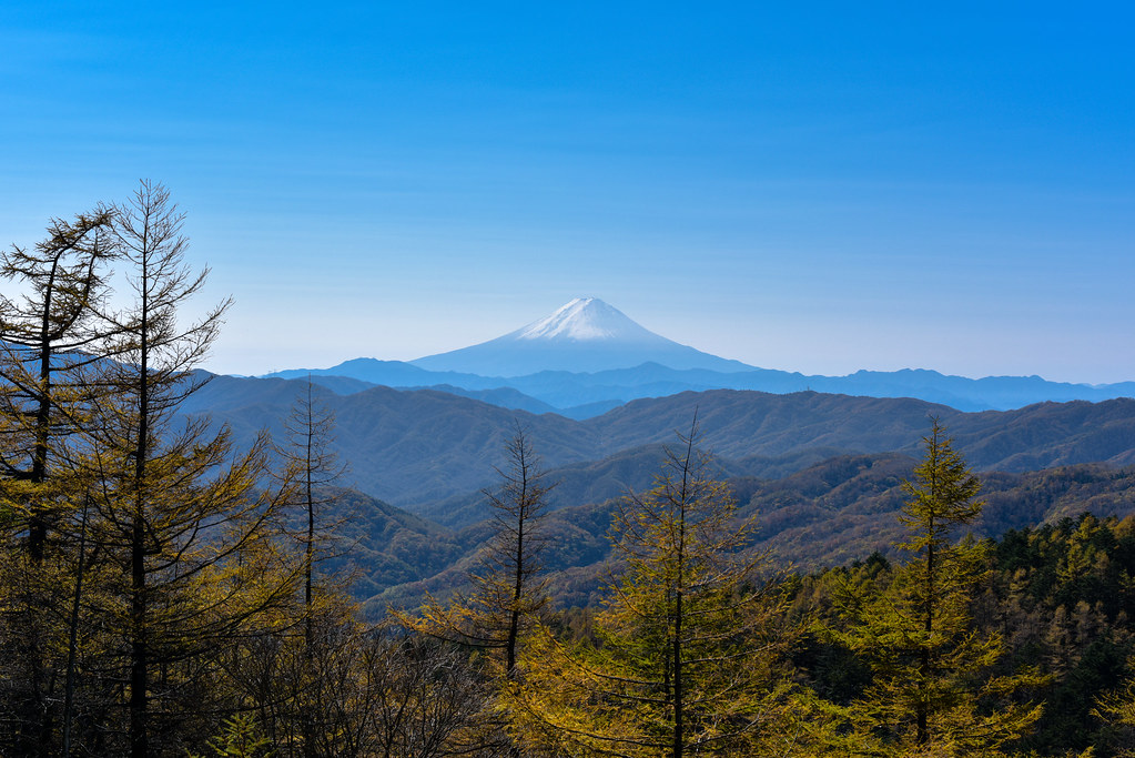 笠取山から見る富士山