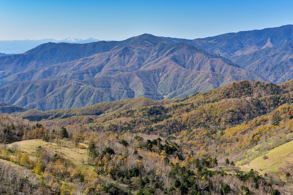 笠取山山頂から見る景色