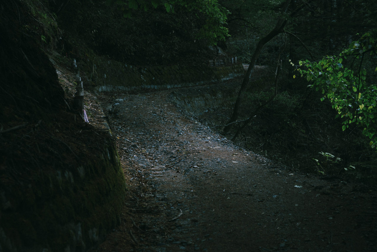 暗がりの林道
