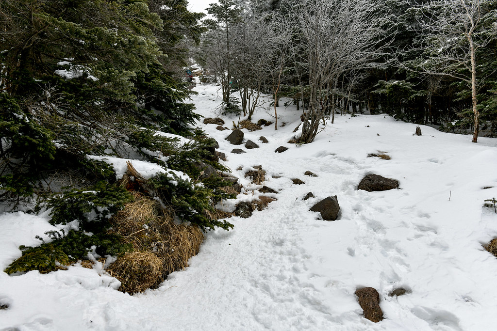 雪の蓼科山