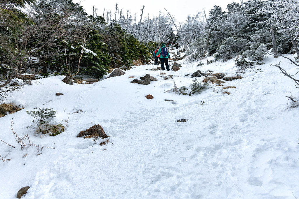 雪景色の蓼科山