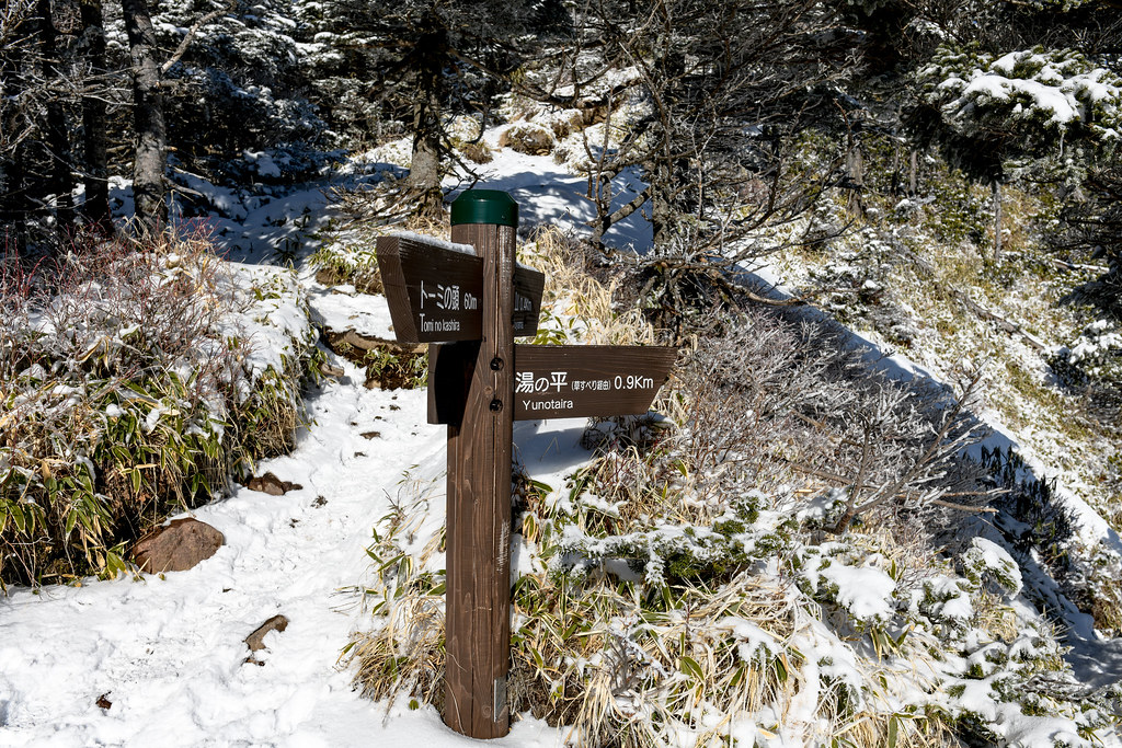 湯の平分岐