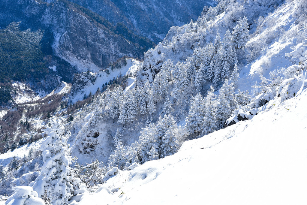 雪化粧した外輪