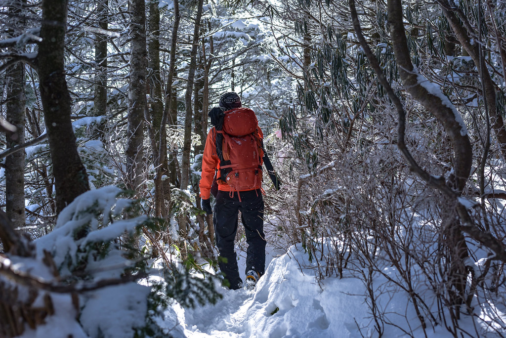 下山する登山者