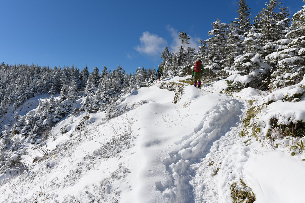外輪を折り返す