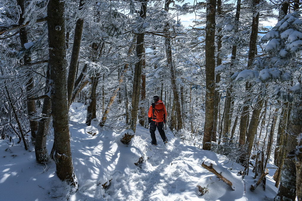 下山する登山者