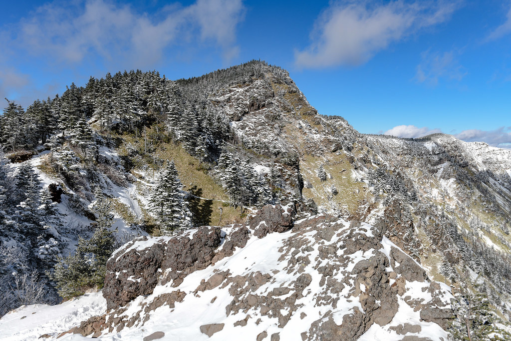 雪が溶けたトーミの頭