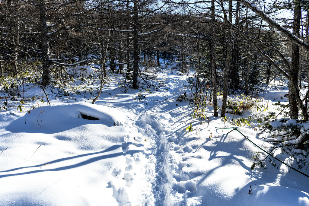 車坂峠から登山道へ