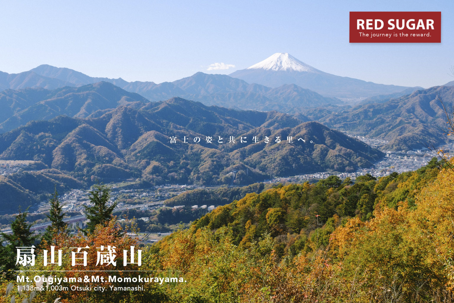 【秀麗富嶽】扇山、百蔵山、猿橋から歩く紅葉と富士山展望の里山 - Red sugar