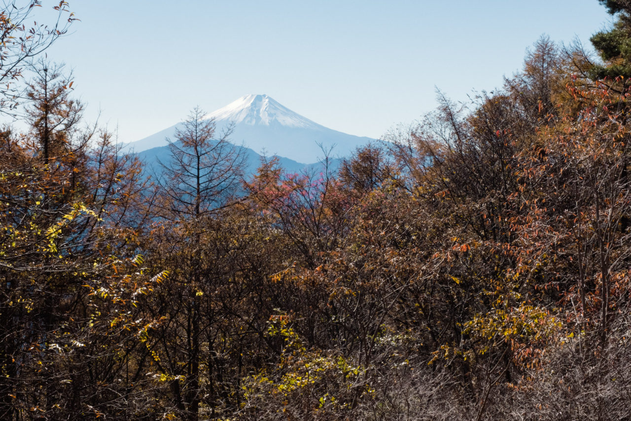 扇山から見る富士山