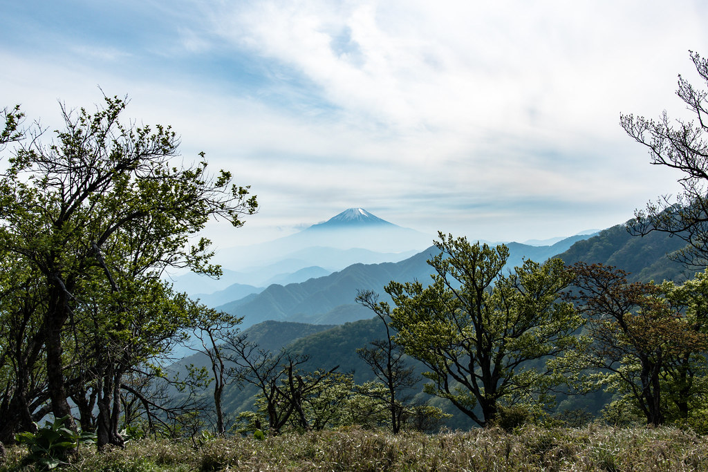 丹沢から見る富士山