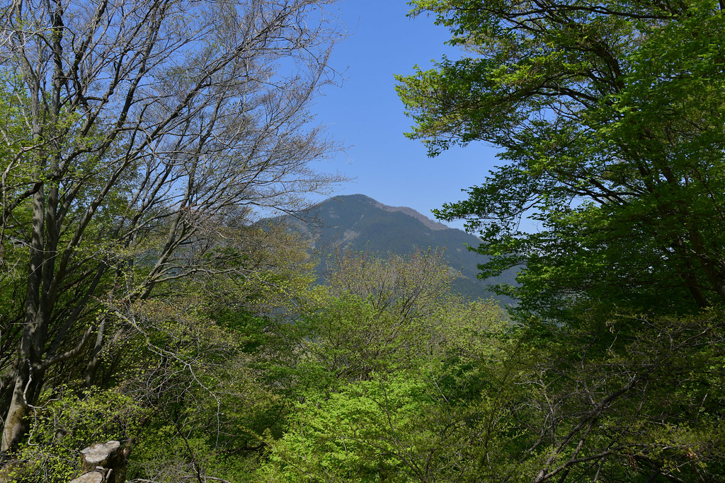 武甲山の遠望