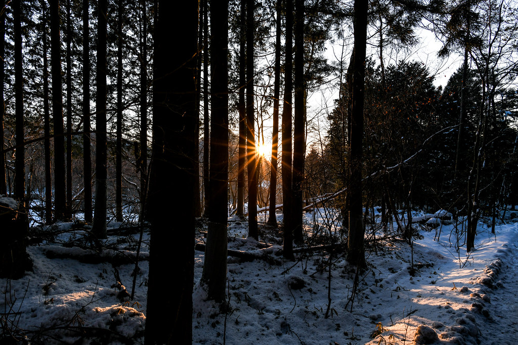 瀧尾神社前駐車場から雲竜へ