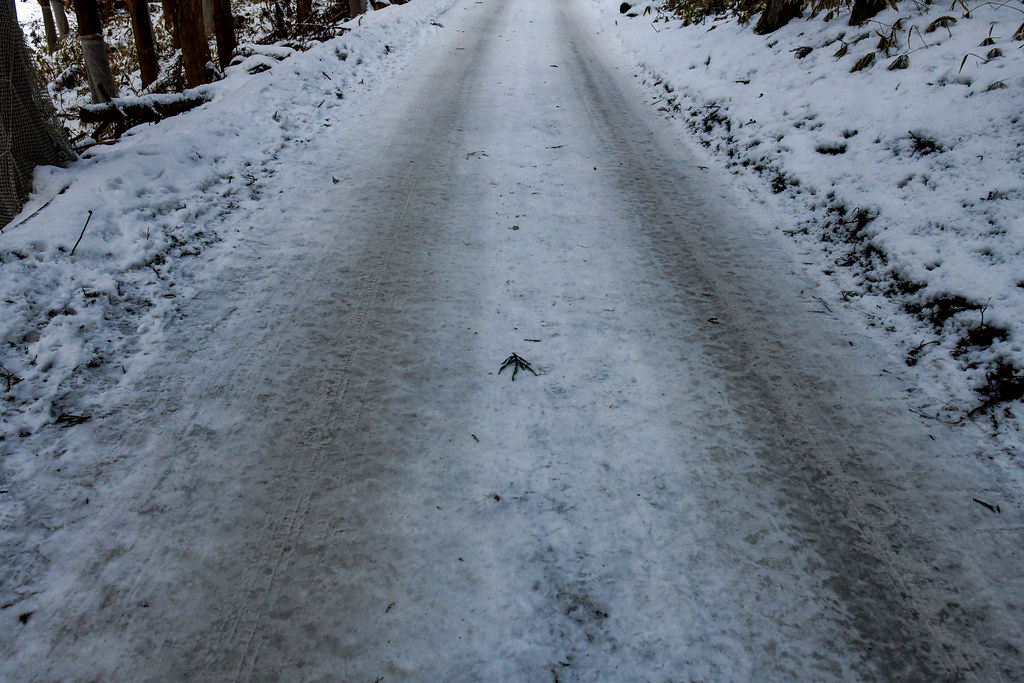 凍った林道
