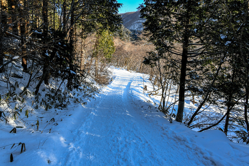 雲竜爆登山コース