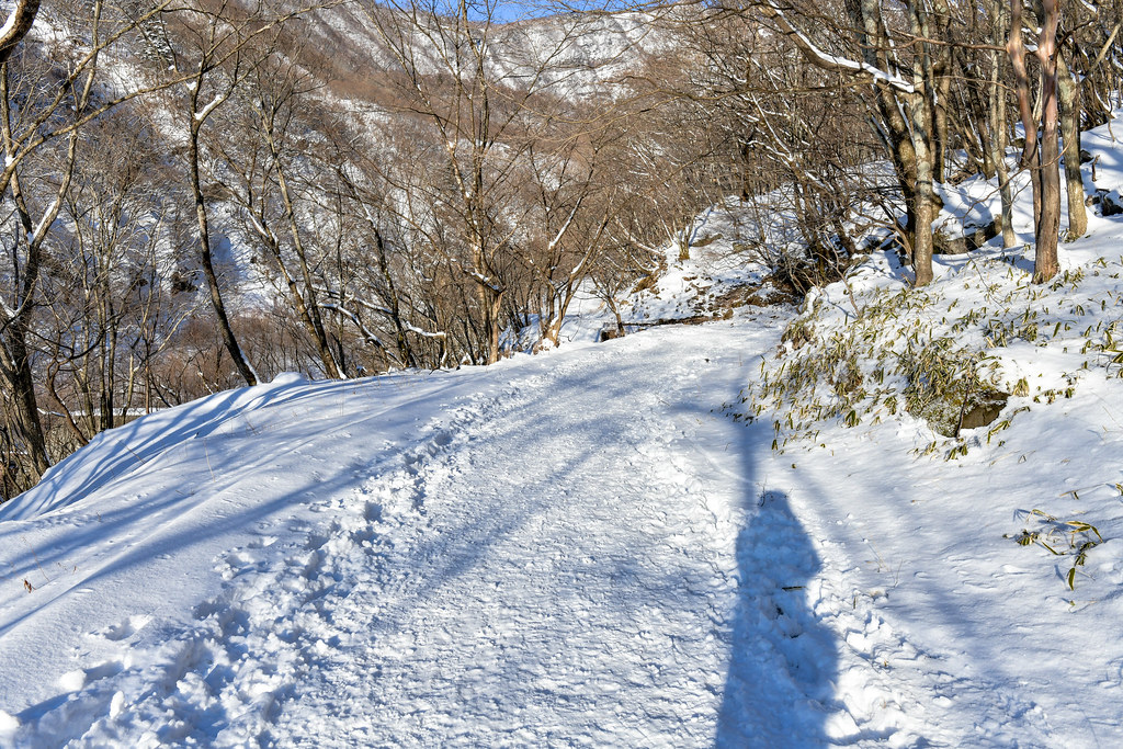 雲竜爆登山コース