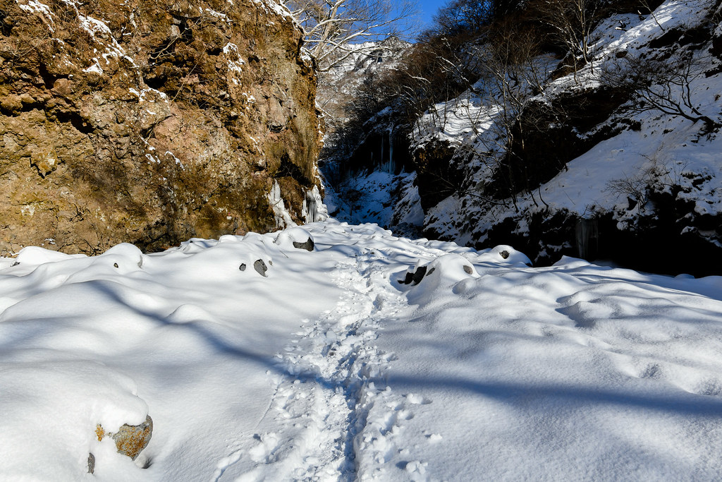 氷瀑への道