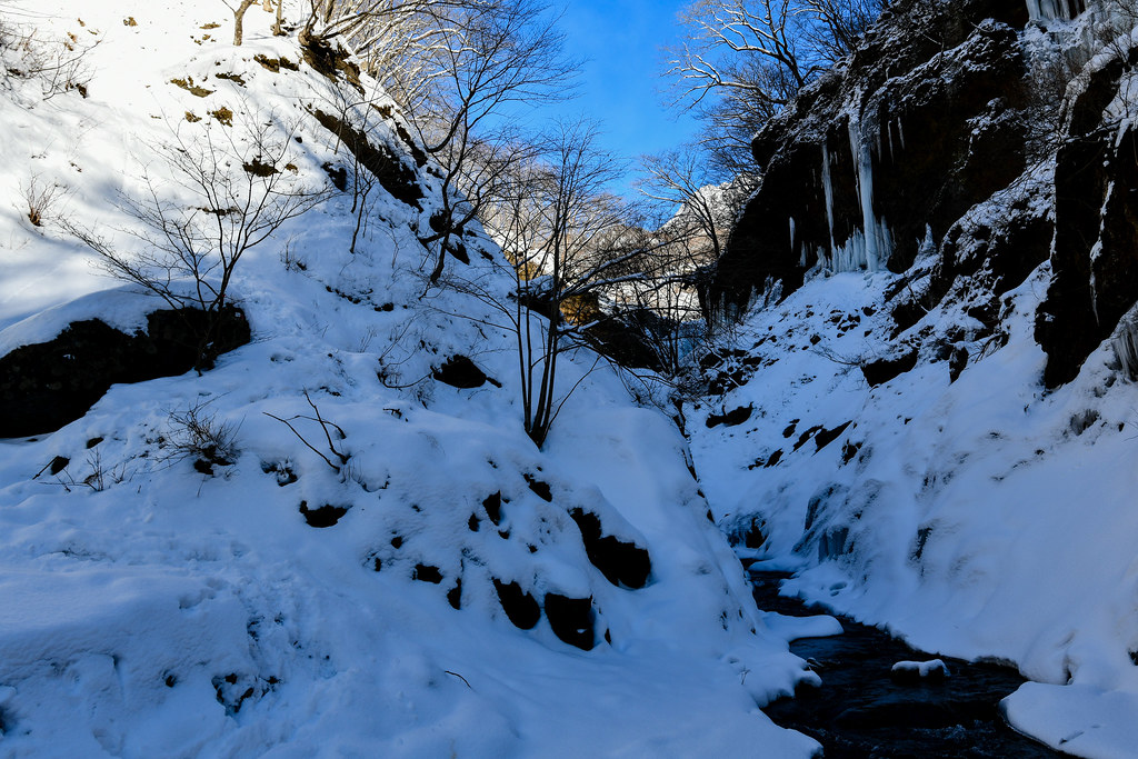 氷瀑への道