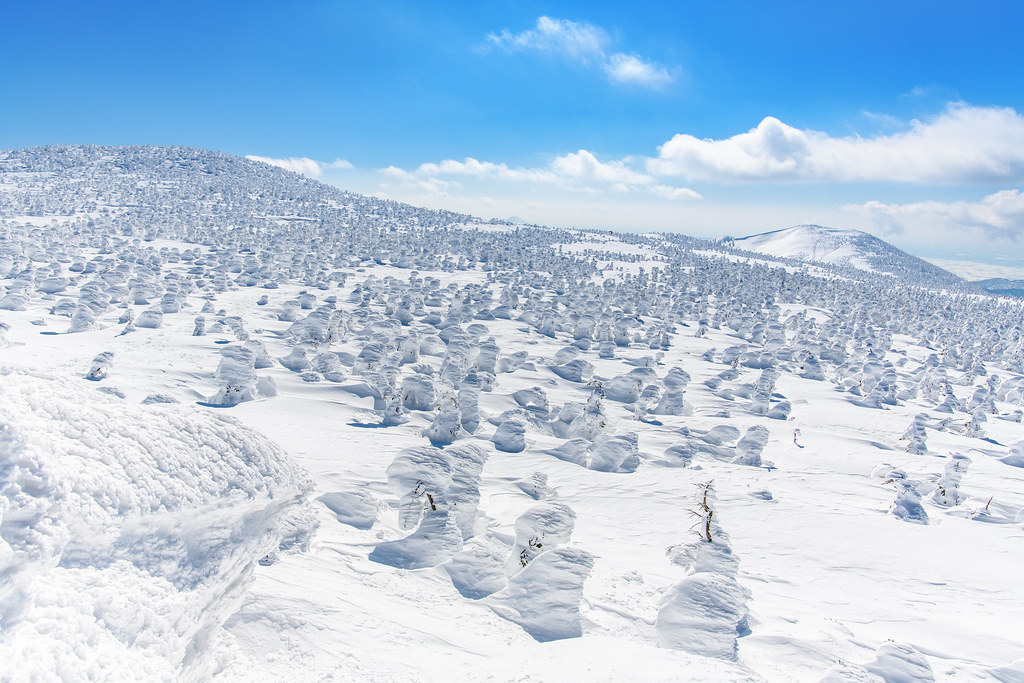 西吾妻山の樹氷の眺め