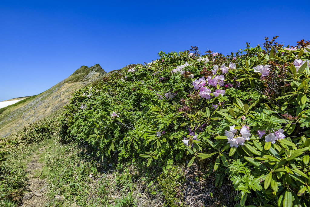谷川主脈で万太郎山へ