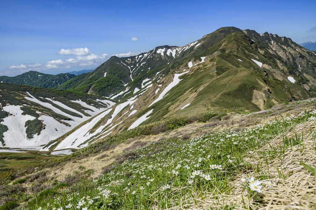 オジカ沢ノ頭から万太郎へ