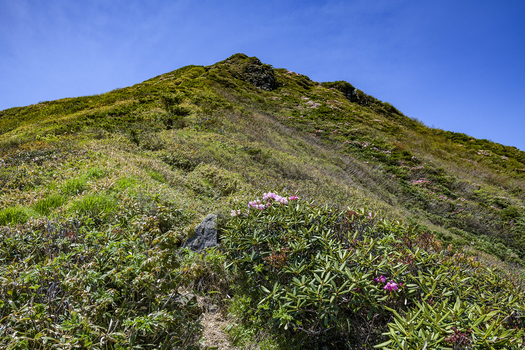 オジカ沢ノ頭から万太郎へ