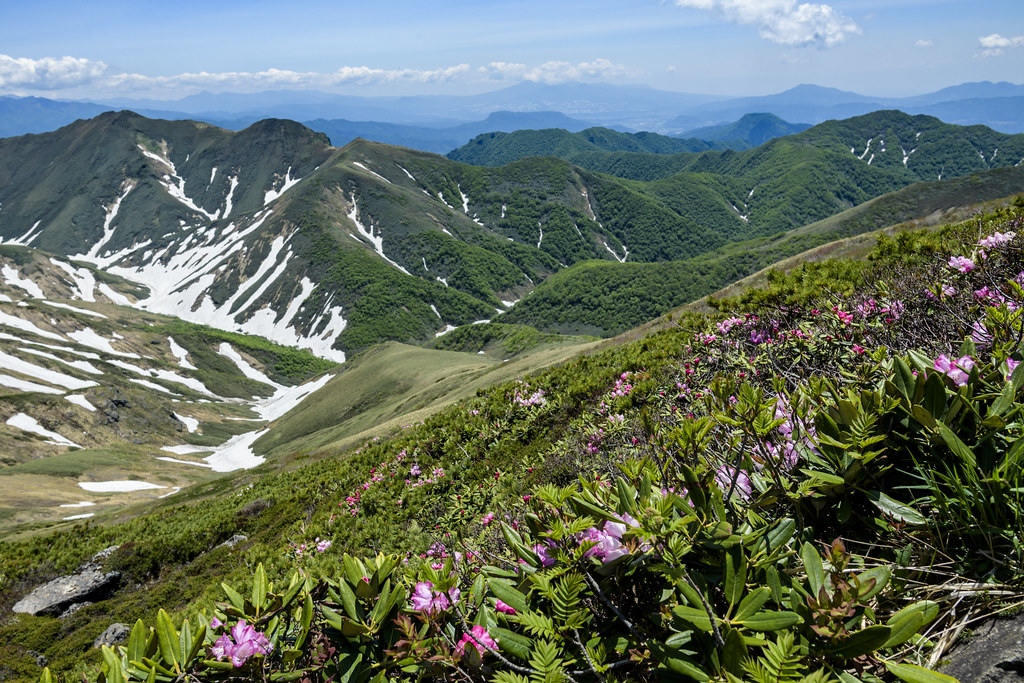 オジカ沢ノ頭から万太郎へ