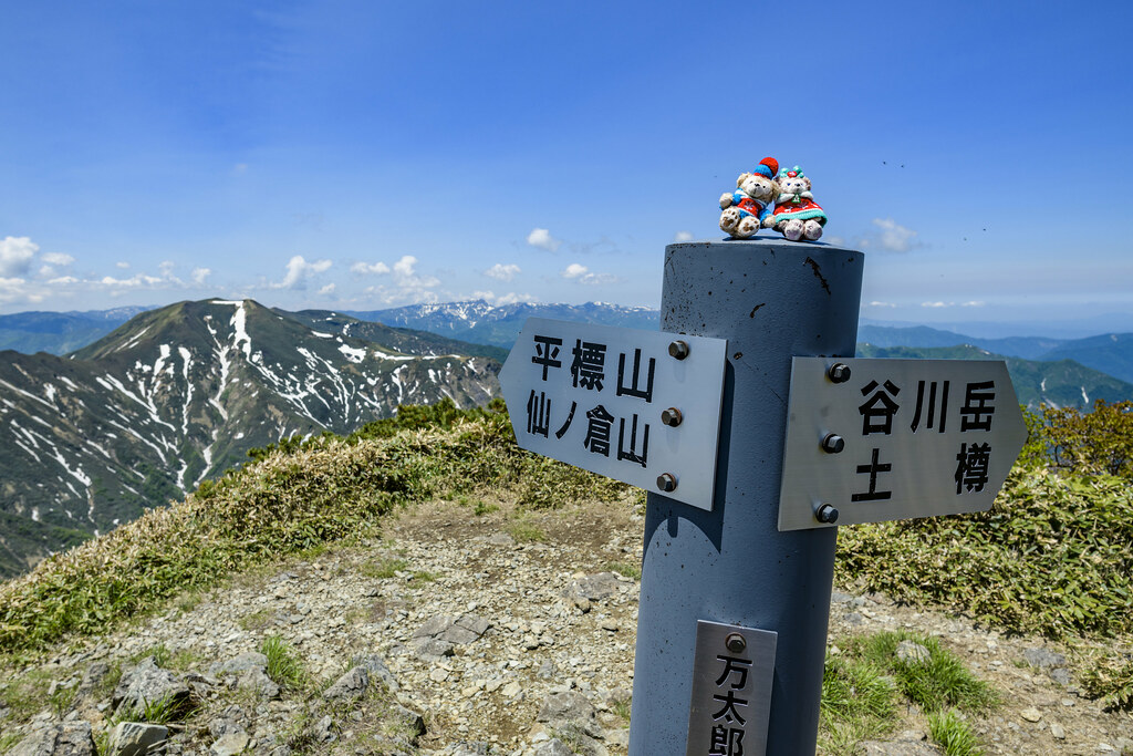 万太郎山の山頂