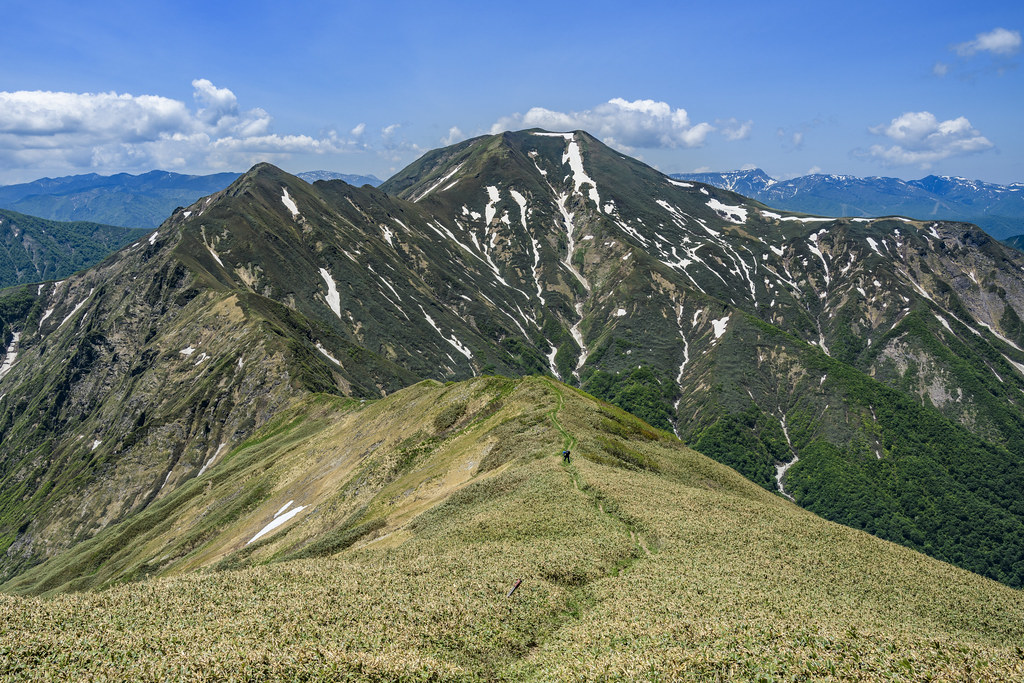 万太郎山から仙ノ倉山へ