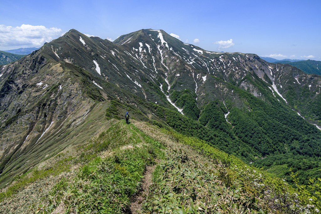万太郎山から仙ノ倉山へ