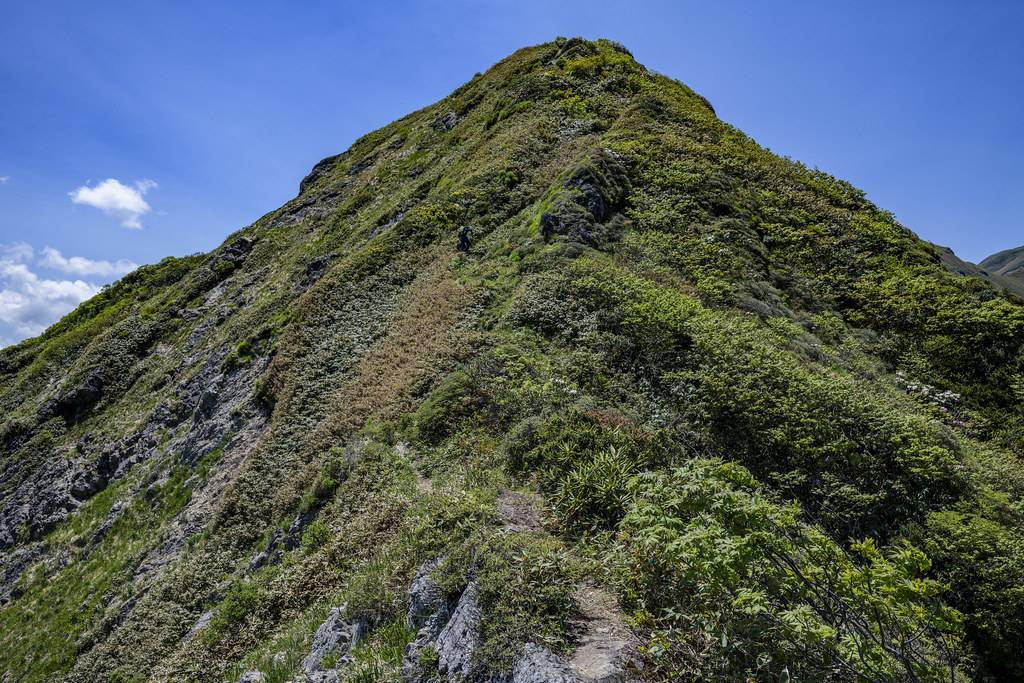 万太郎山から仙ノ倉山へ