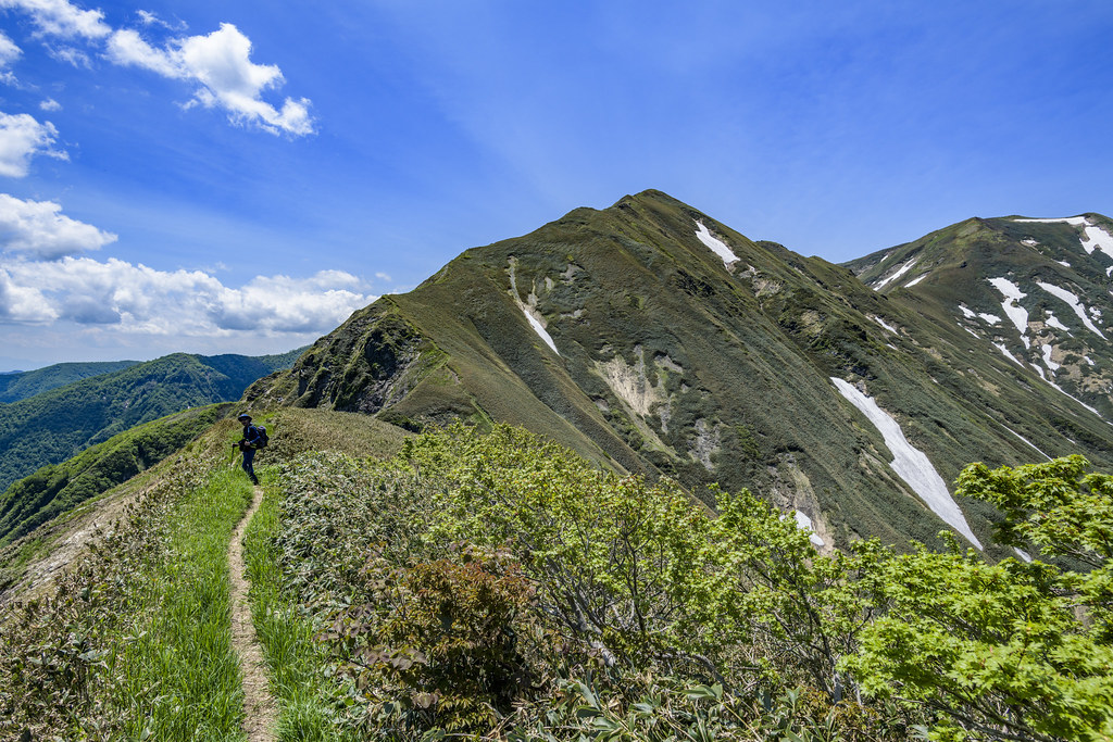 万太郎山から仙ノ倉山へ