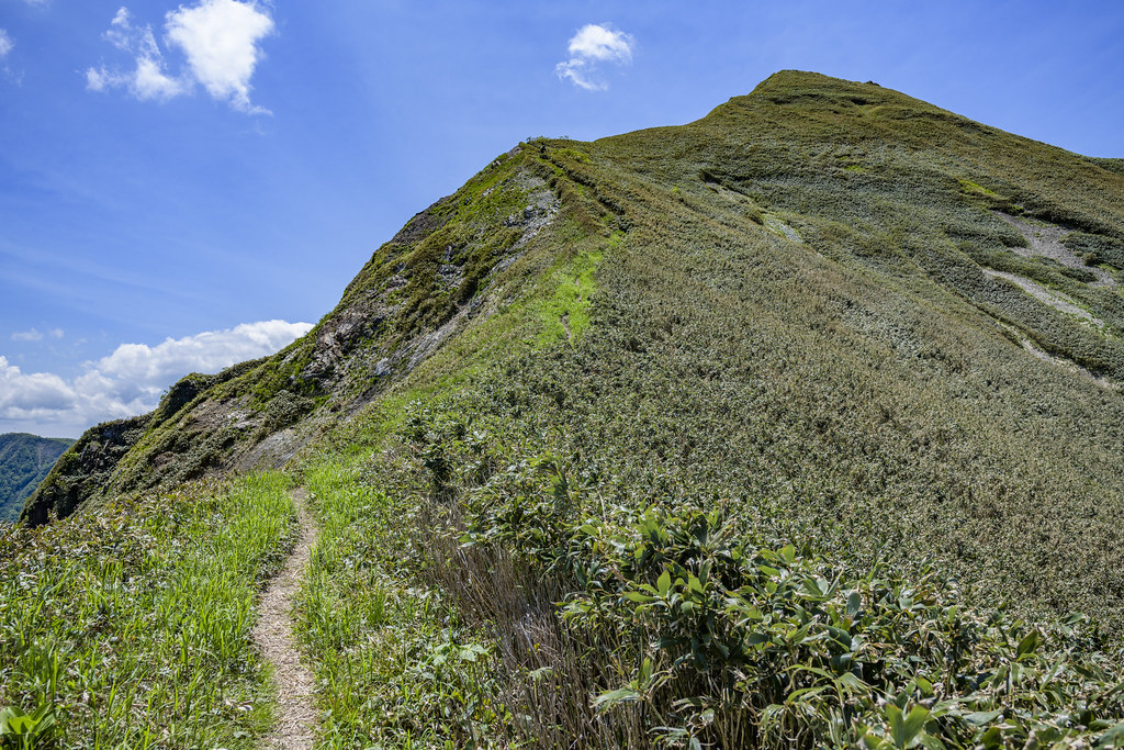 万太郎山から仙ノ倉山へ