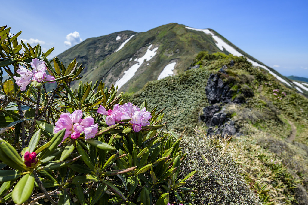 万太郎山から仙ノ倉山へ