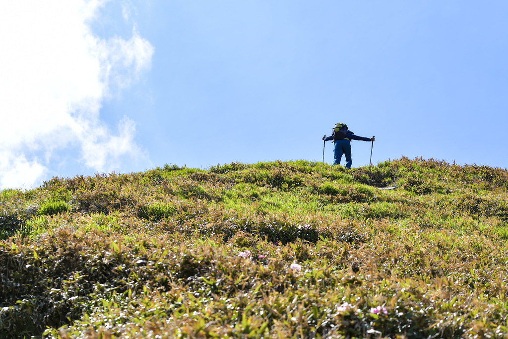 万太郎山から仙ノ倉山へ