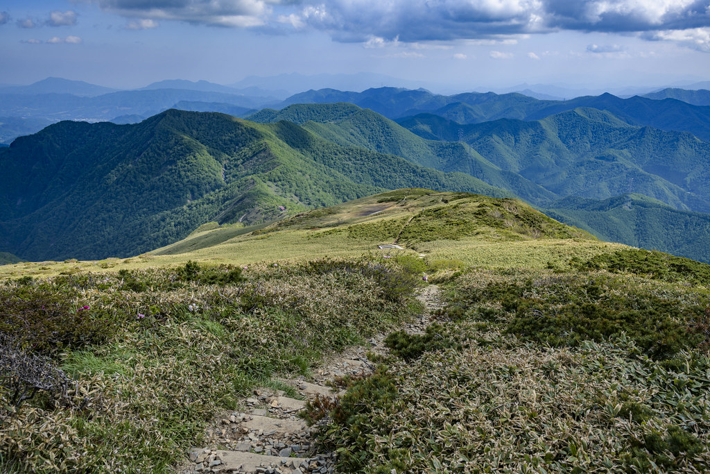 仙ノ倉山から下山
