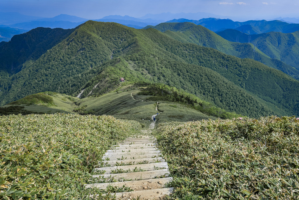 仙ノ倉山から下山